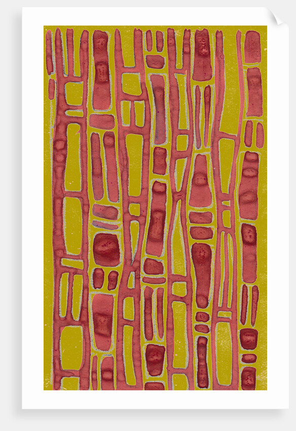 Organic abstraction 5 by Heinrich Martin