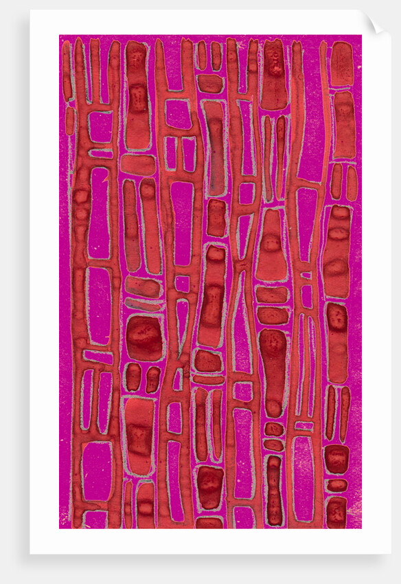 Organic abstraction 6 by Heinrich Martin