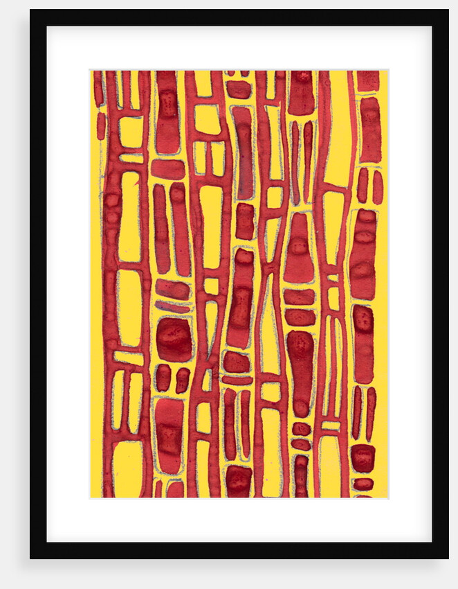 Organic abstraction 7 by Heinrich Martin