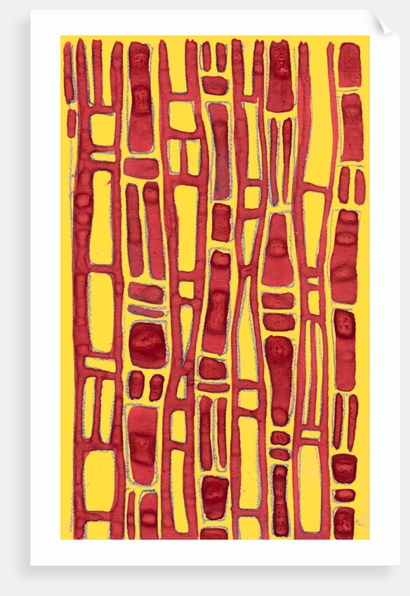 Organic abstraction 7 by Heinrich Martin