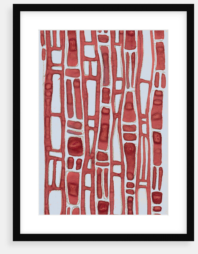 Organic abstraction 8 by Heinrich Martin