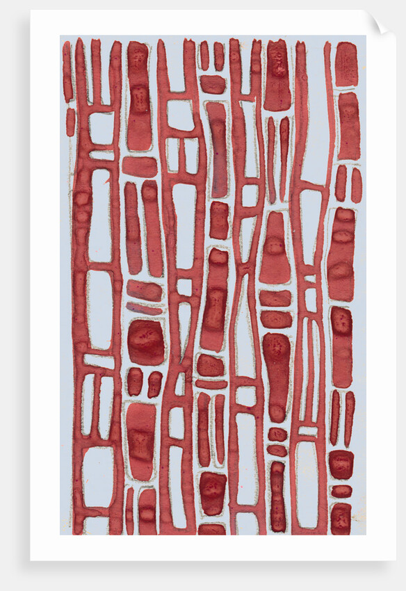 Organic abstraction 8 by Heinrich Martin