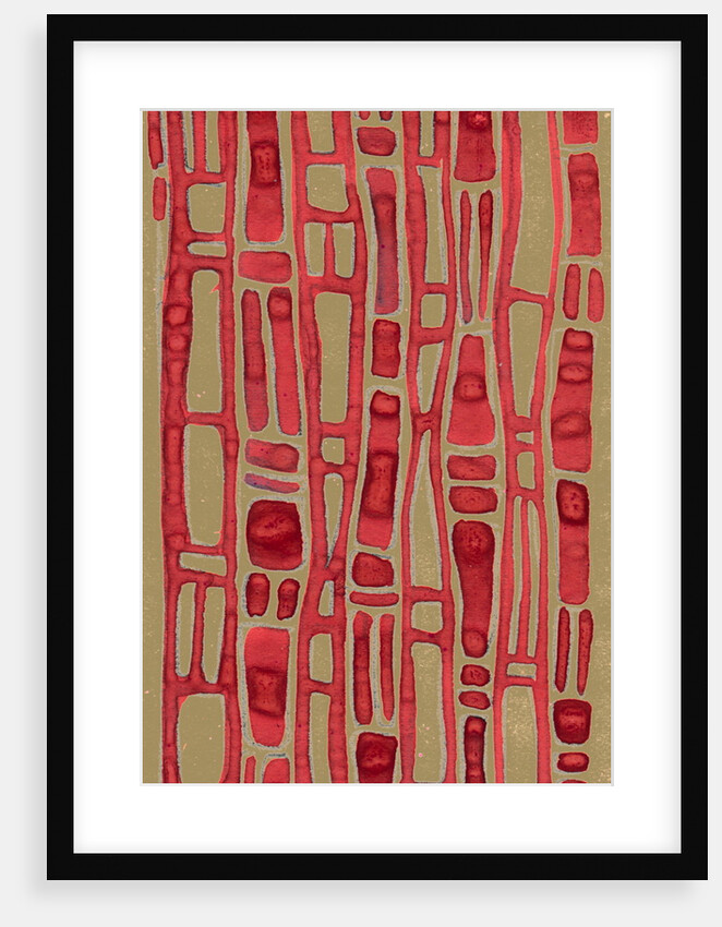 Organic abstraction 9 by Heinrich Martin