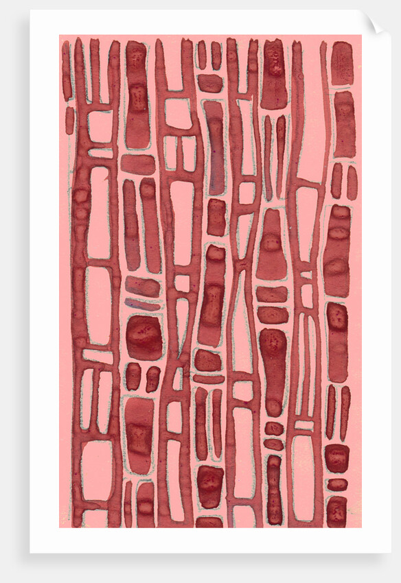 Organic abstraction 10 by Heinrich Martin