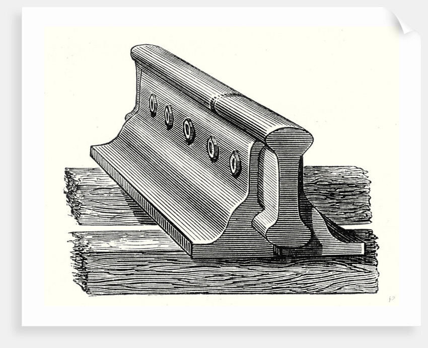 Fishplate by Anonymous