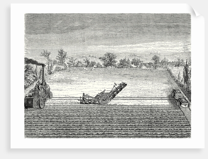 Steam Ploughing by Anonymous