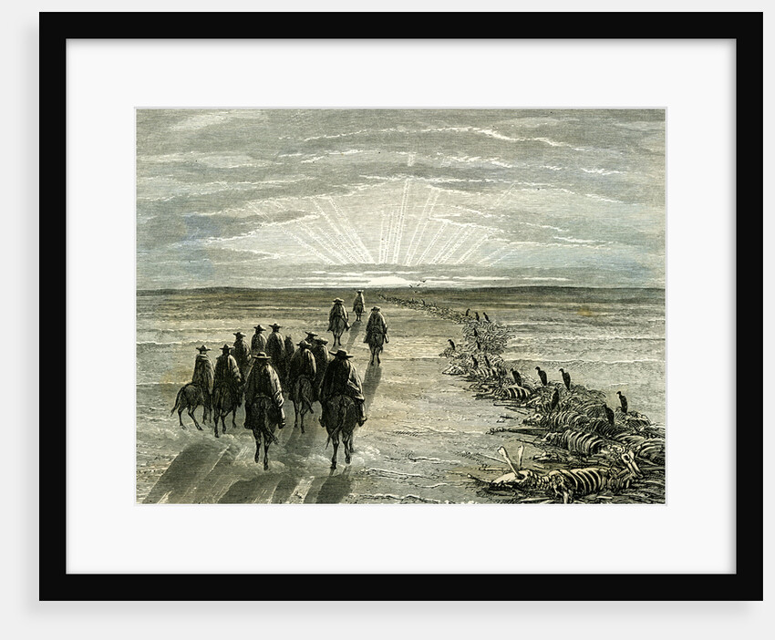 Pampa 1869 Peru by Anonymous