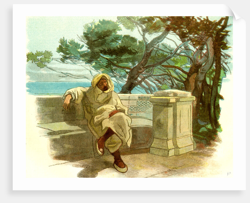 View in the Jardin Marengo Algiers 1885 by Anonymous