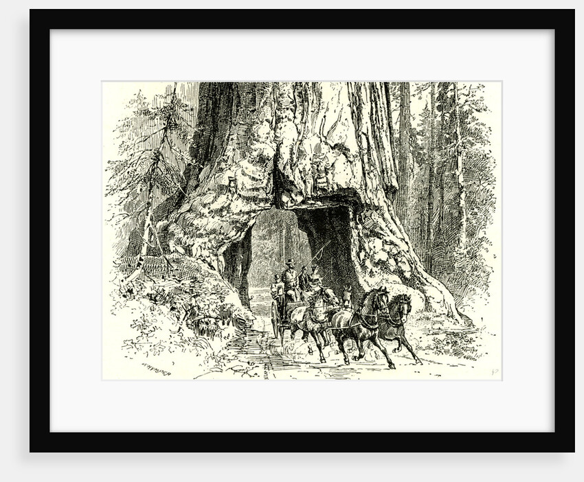 Yosemite Valley Wawona 1891 USA by Anonymous