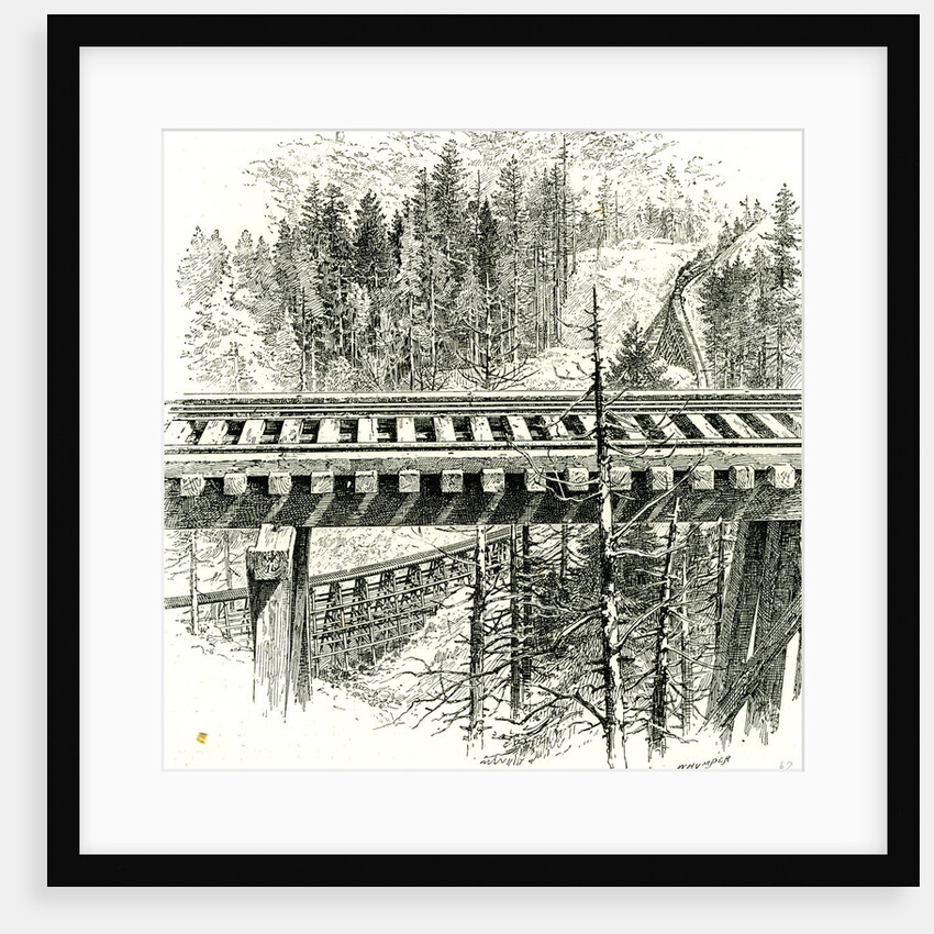 The Big Loop on the Shasta Railway Near Mccloud 1891 USA by Anonymous