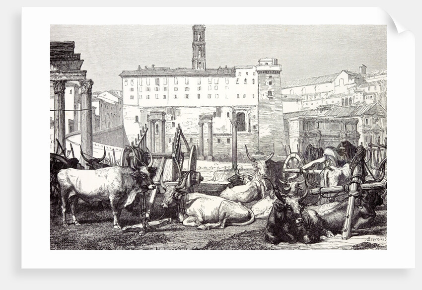 Rome Italy 1875 The Roman Forum by Anonymous