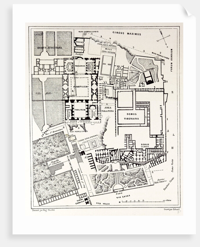 Rome Italy 1875 Plan of the Excavations on the Palatine by Anonymous