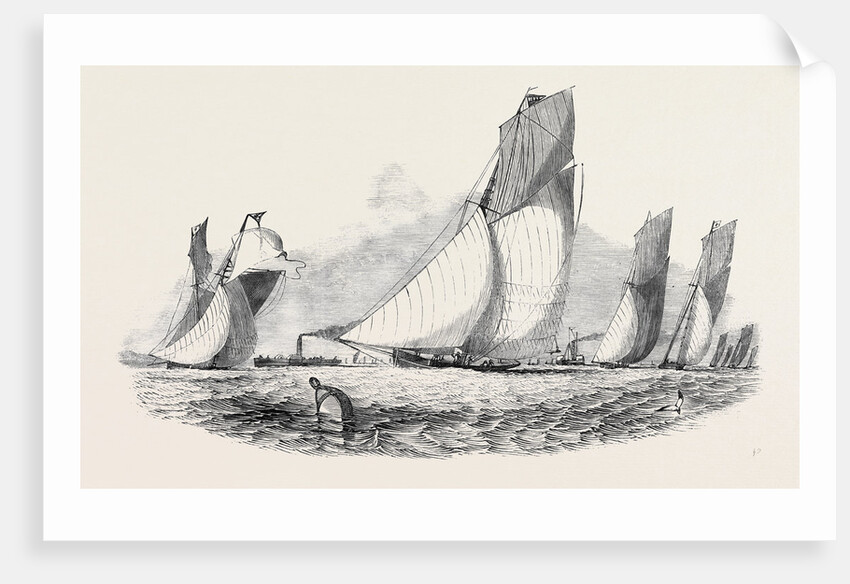 The Royal Thames Yacht Club Match; Mystery, Antagonist, Belvidere, Vixen, Prima Donna by Anonymous