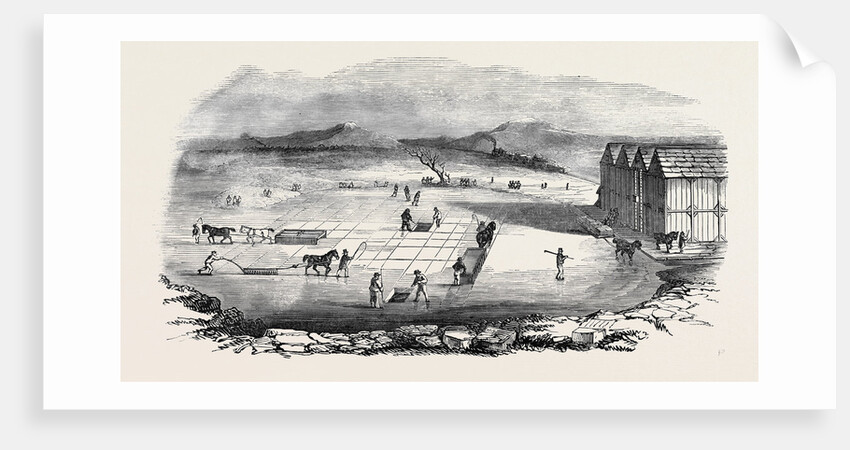 Planing the Wenham Ice Lake, Massachusetts, USA by Anonymous