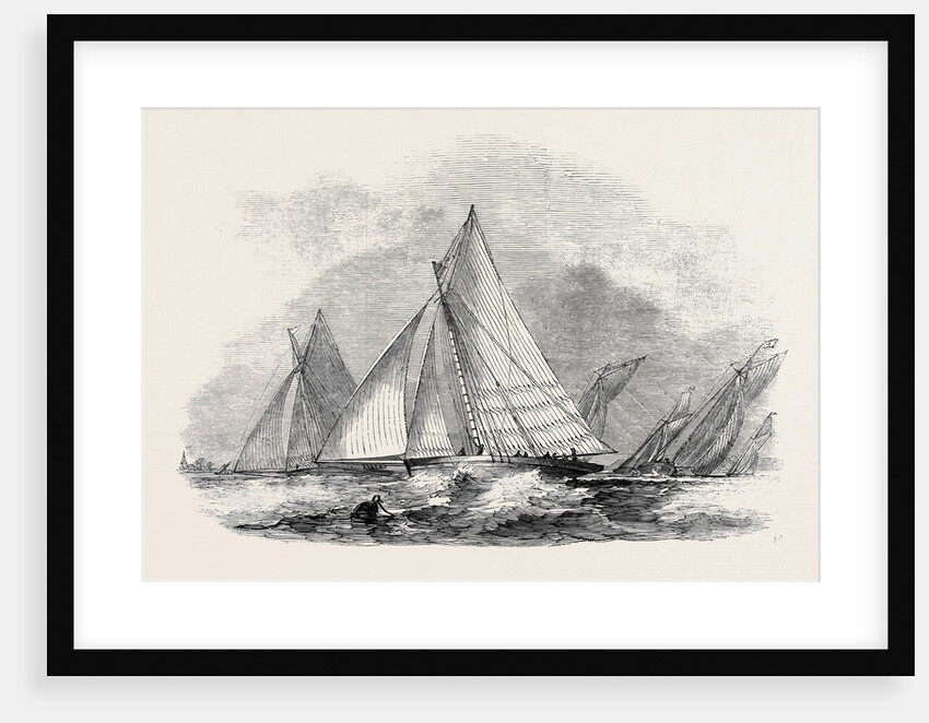 Royal Thames Yacht Club, Match for the Belvidere Cup; Belvidere, Blue Belle, Ino, Champion, Mystery, Antagonist by Anonymous