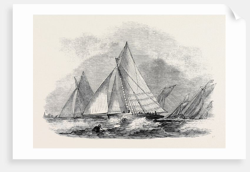 Royal Thames Yacht Club, Match for the Belvidere Cup; Belvidere, Blue Belle, Ino, Champion, Mystery, Antagonist by Anonymous