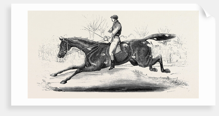 The Harrow Steeple Chase, the Last Brook by Anonymous