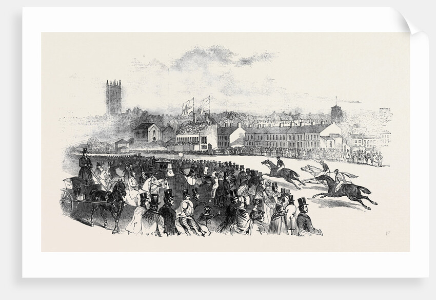 Warwick Races. by Anonymous