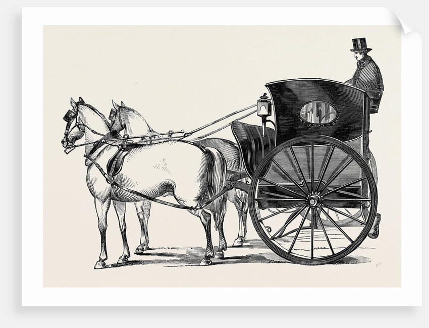 The New Curricle Tribus. by Anonymous