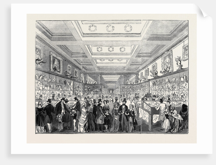 Easter Monday, the Great Zoological Gallery, British Museum by Anonymous