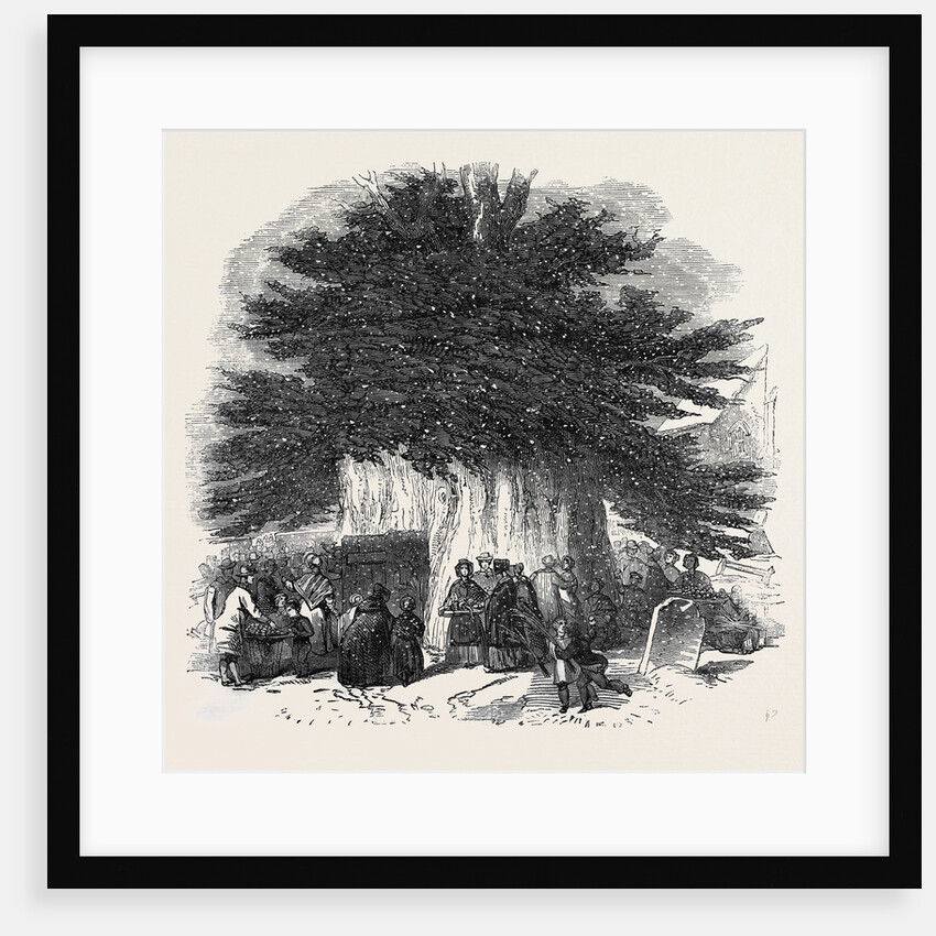 Palm Sunday, at Crowhurst by Anonymous