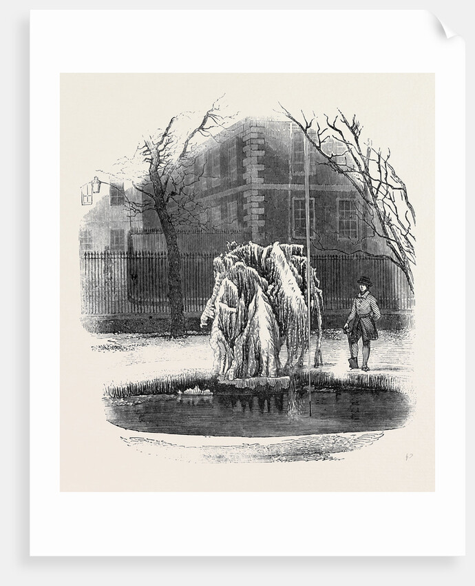 Ice Tree, Middle Temple. by Anonymous