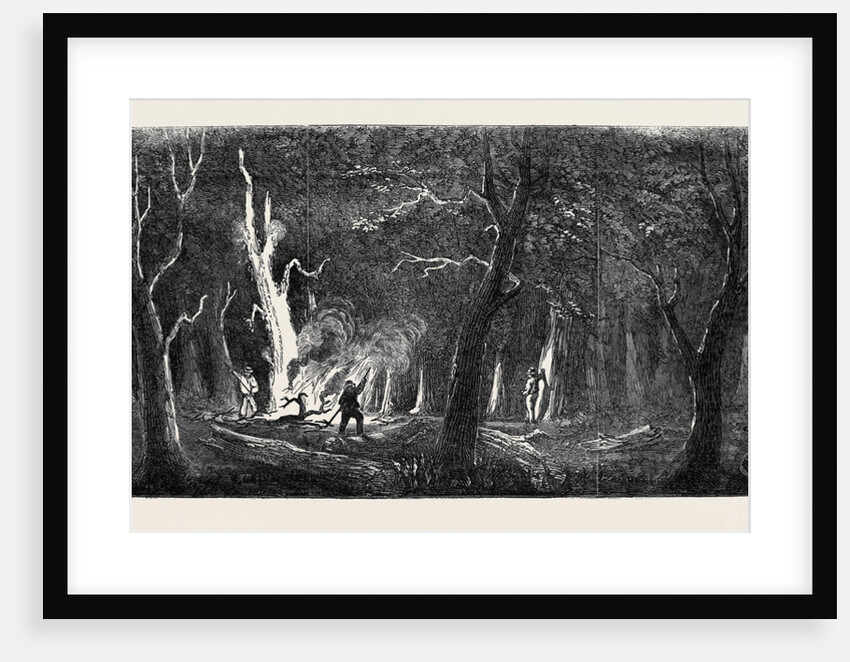 Panorama of the Ohio, Clearing a Forest by Anonymous