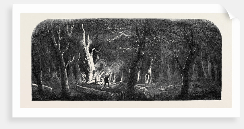 Panorama of the Ohio, Clearing a Forest by Anonymous