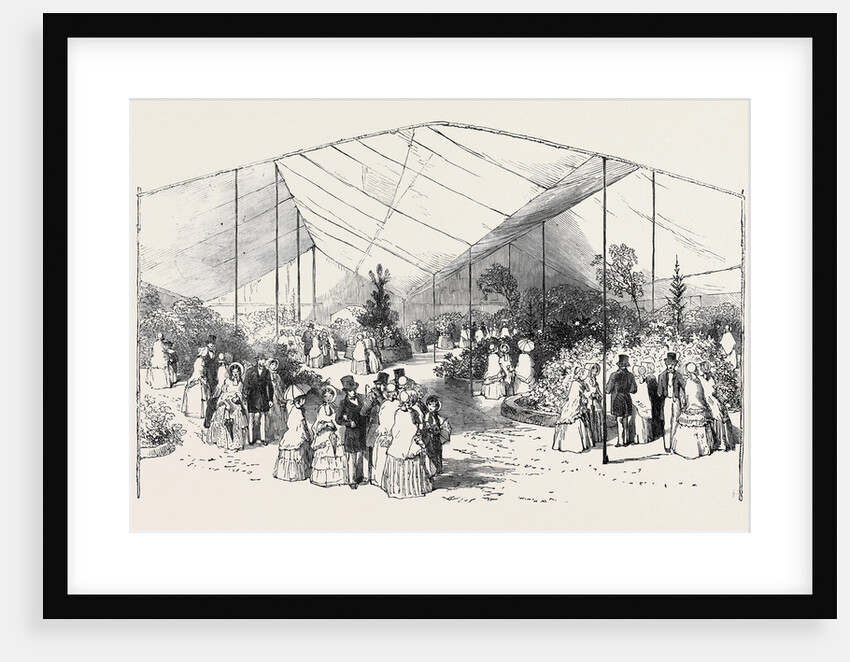Exhibition of American Plants at the Royal Botanic Society's Gardens, Regent's Park by Anonymous