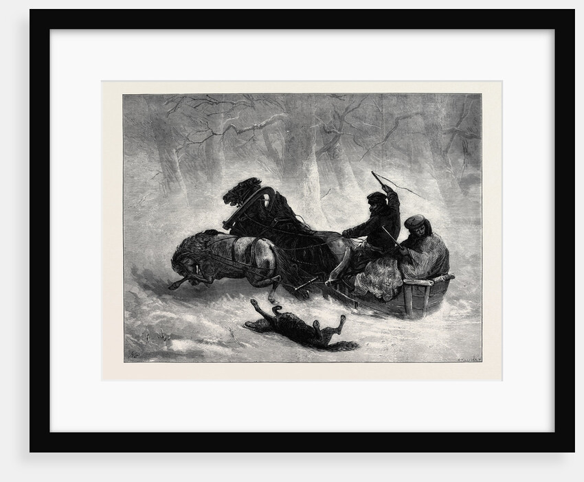 Traineau Russe 1873 by Anonymous