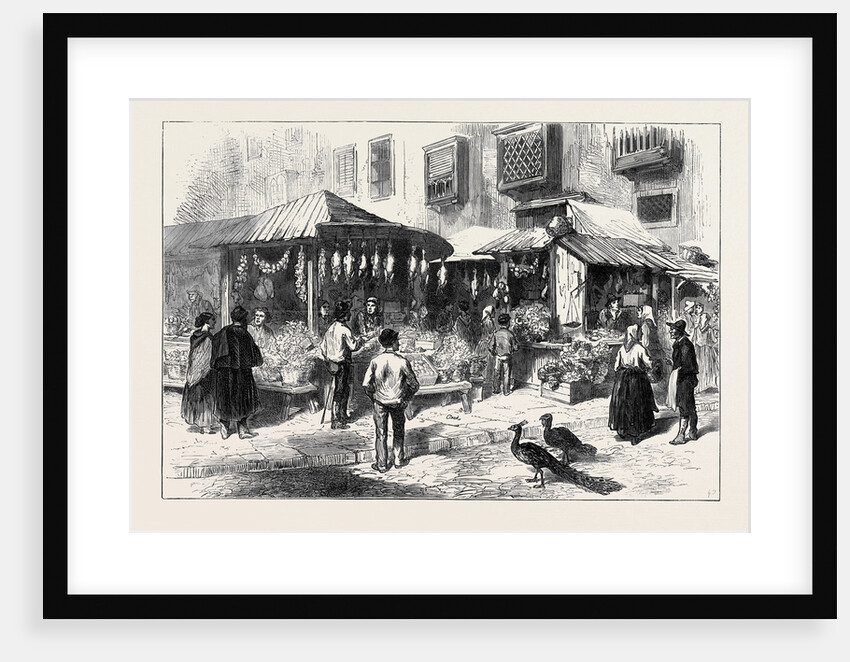 Spain: Old Market-Place of San Miguel 1873 by Anonymous