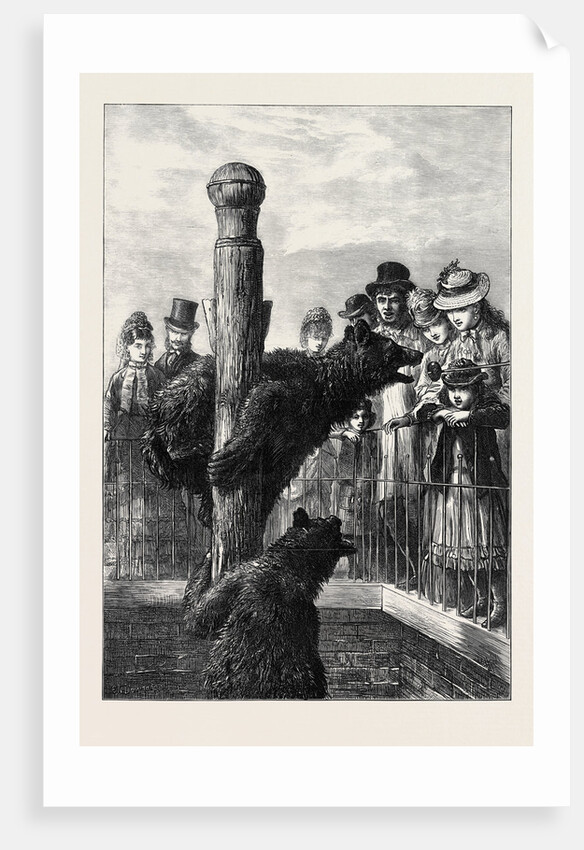 Receiving Visitors on Easter Monday at the Zoological Society's Gardens London 1873 by Anonymous