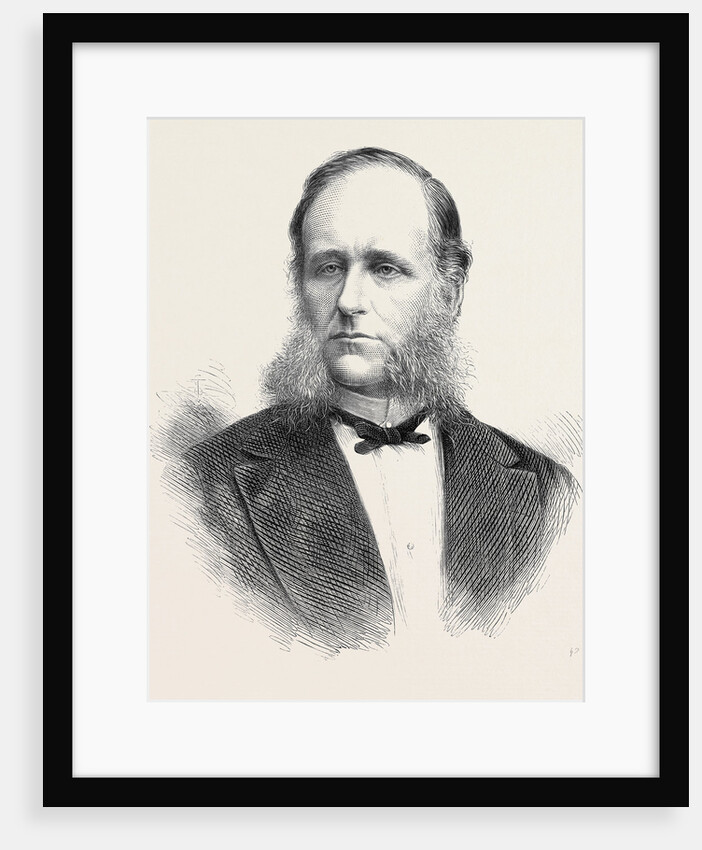Baron Schwarz-Senborn General Manager of the Vienna Universal Exhibition 1873 by Anonymous