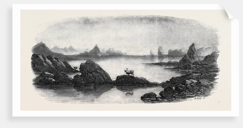 Coast Scene Near Trondhjem Lapland by Anonymous