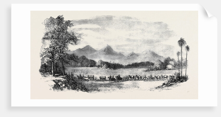 Flight of Europeans from the Scene of Mutiny India by Anonymous