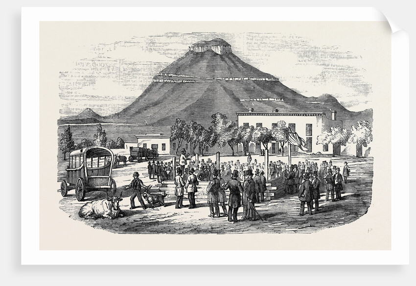 Sale of Angora Rams at Graaff Renet. by Anonymous