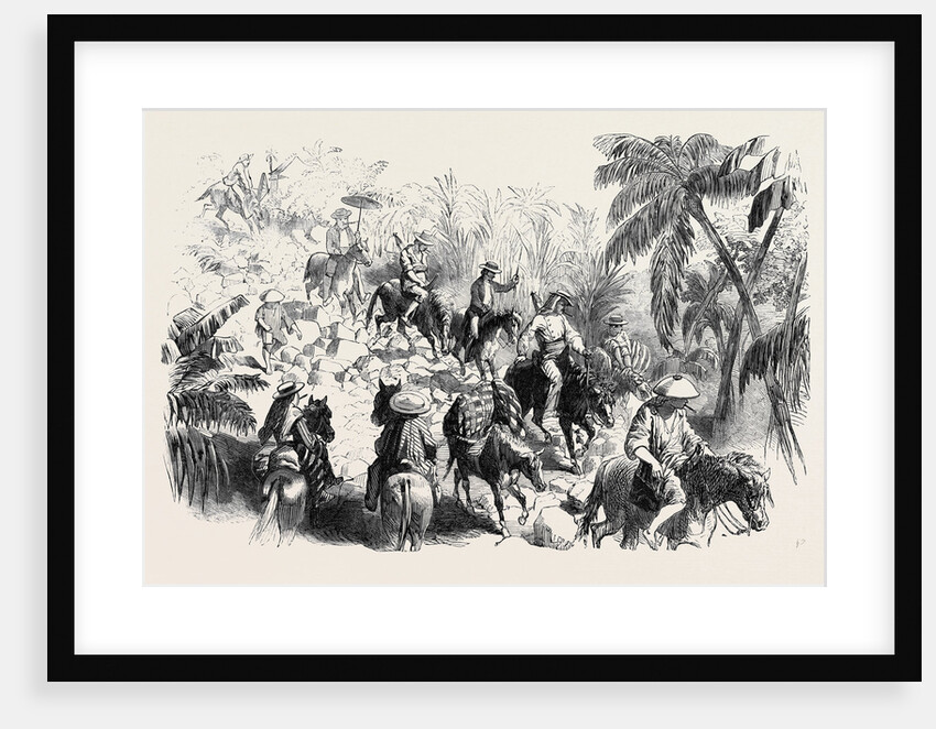 A Macadamised Road in Manilla by Anonymous