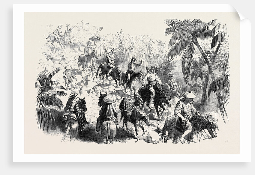 A Macadamised Road in Manilla by Anonymous