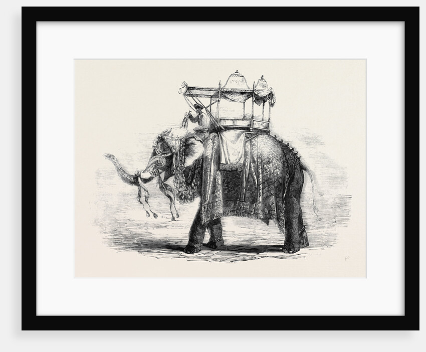 Elephant with State Howdah at Baroda by Anonymous