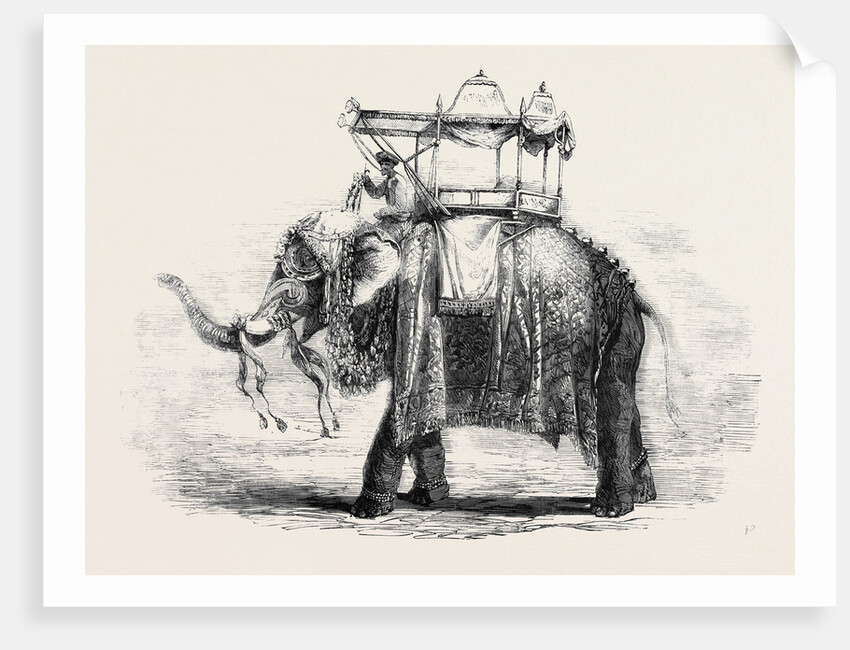Elephant with State Howdah at Baroda by Anonymous