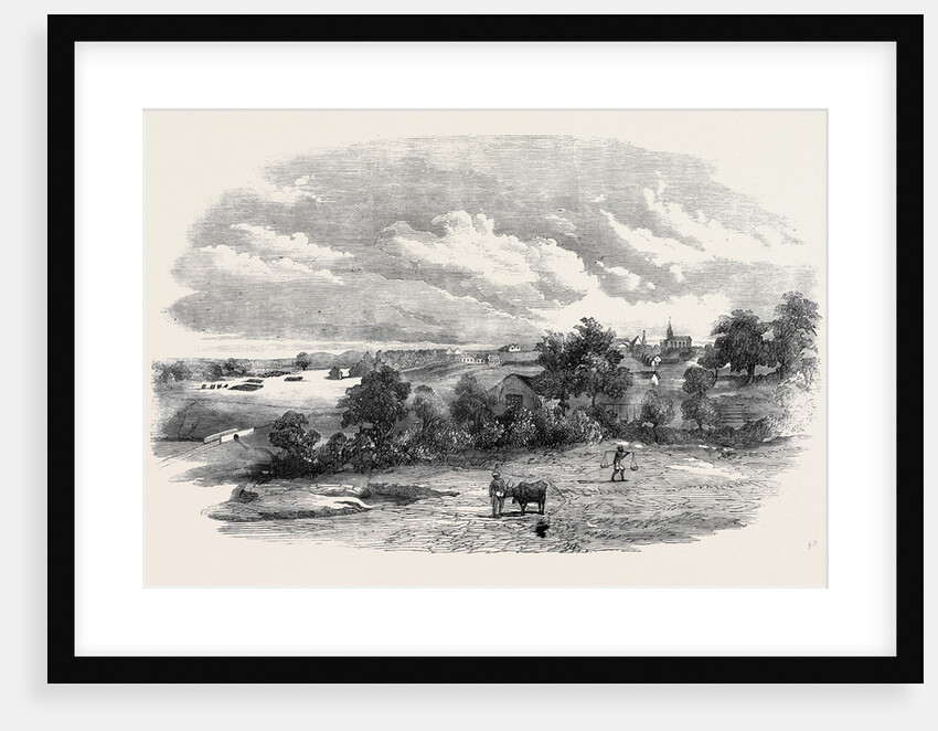 The Camp of Mhow. by Anonymous