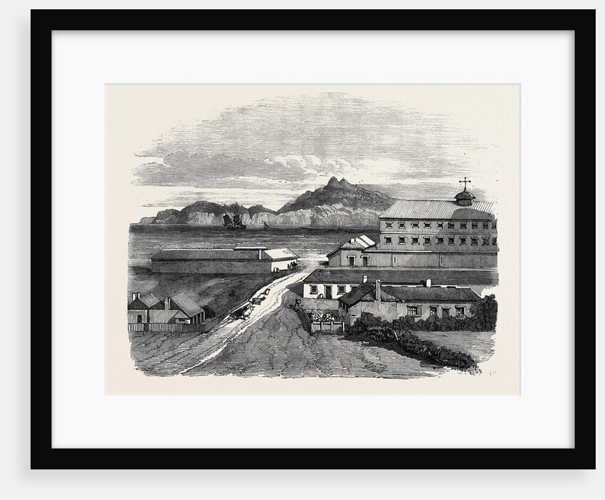 View in Norfolk Island the New Home of the Pitcairners by Anonymous