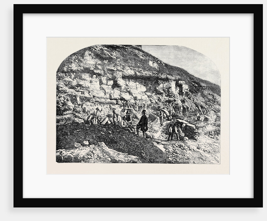 Scene of the Geological Discoveries at Swanage Dorset by Anonymous