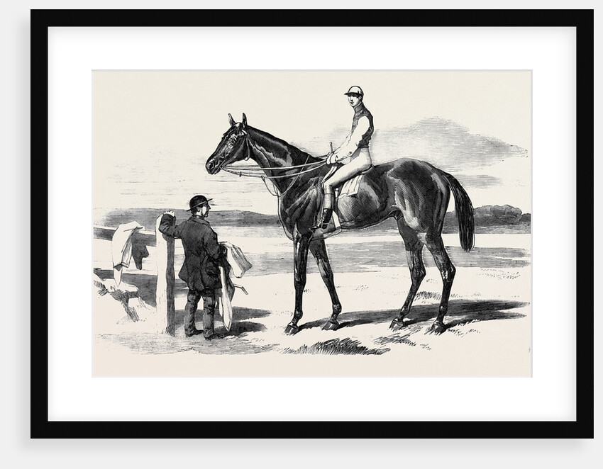 The Celebrated Race Horse Fisherman by Anonymous