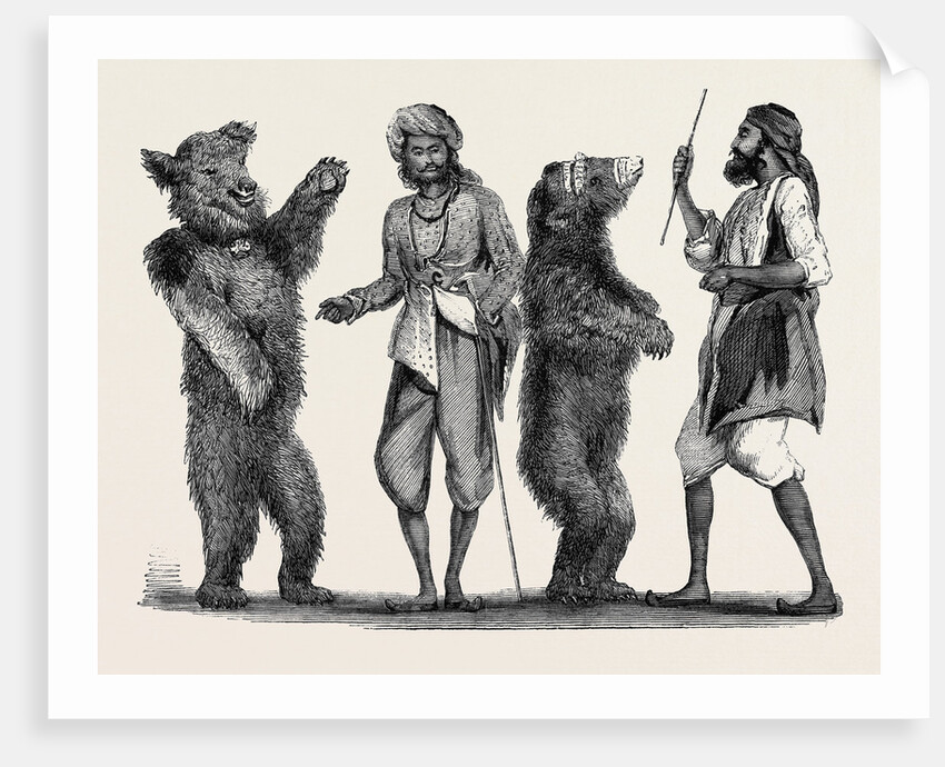 Dancing Bears in India from a Drawing by W. Carpenter by Anonymous
