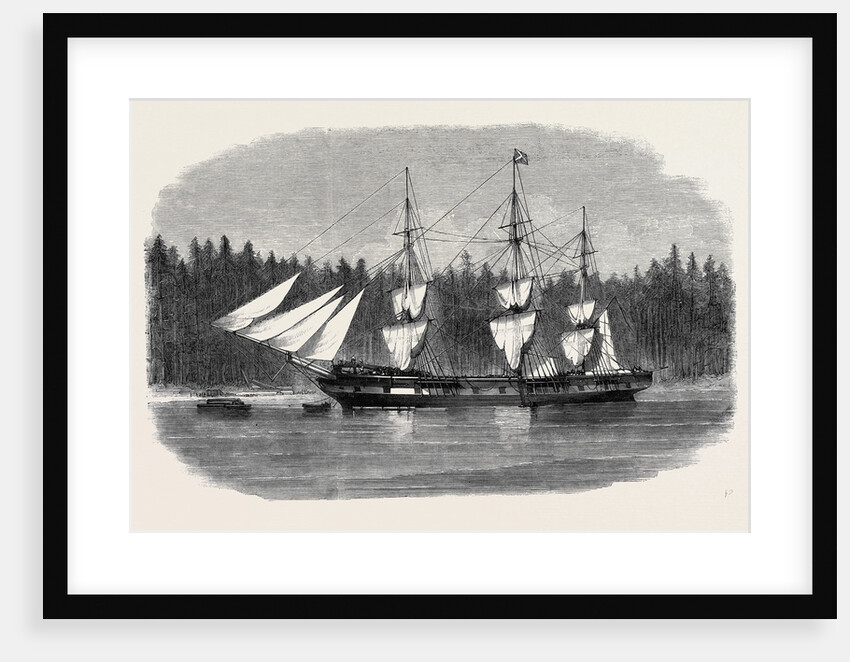 The Ship Wacousta Loading Timber for Mast Pieces at Puget Sound British Columbia by Anonymous