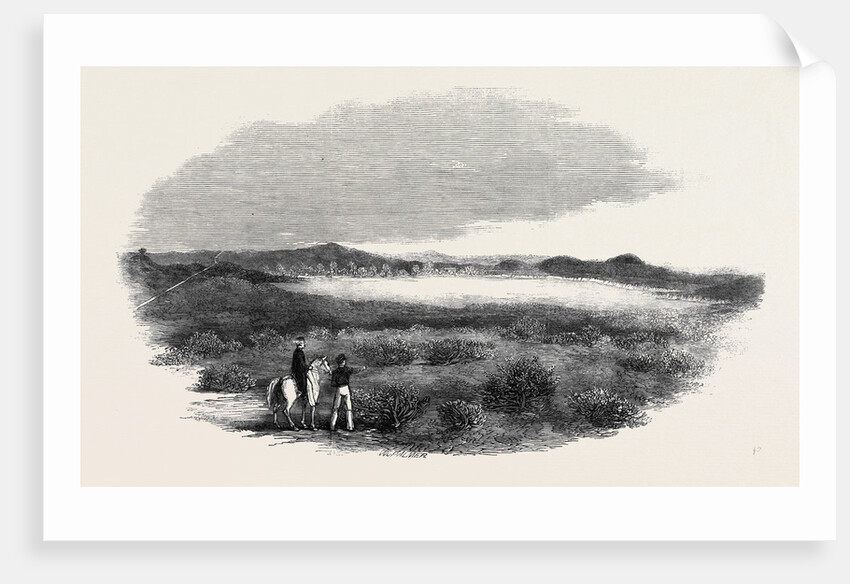 Site of a Proposed Camp at Woolmer Forest by Anonymous