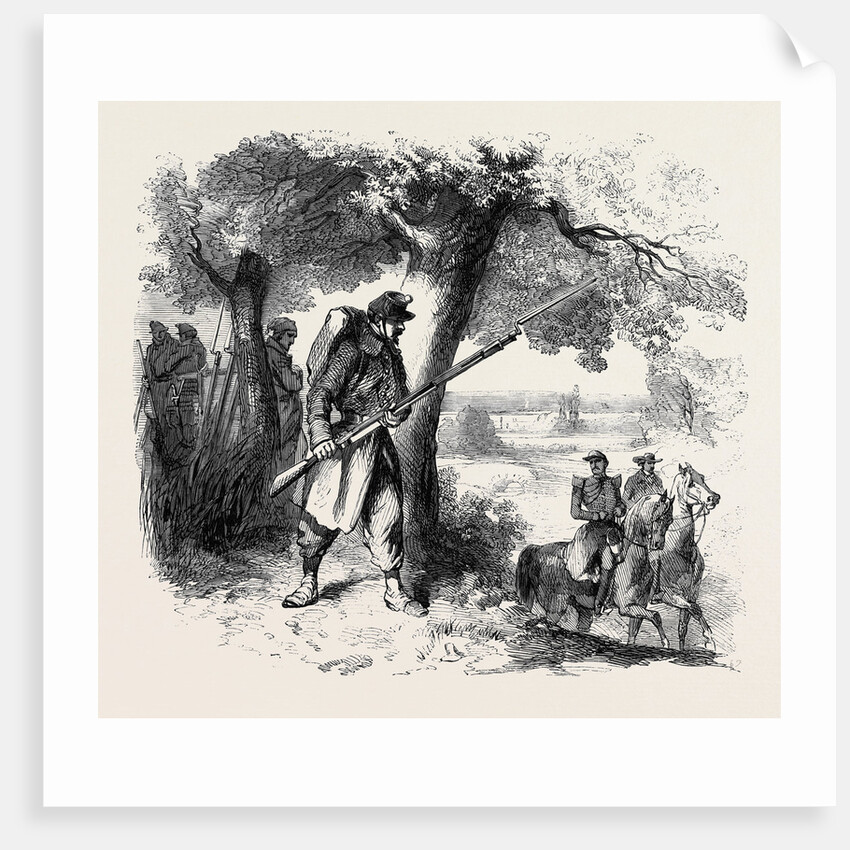 The War Piedmontese Vidette by Anonymous