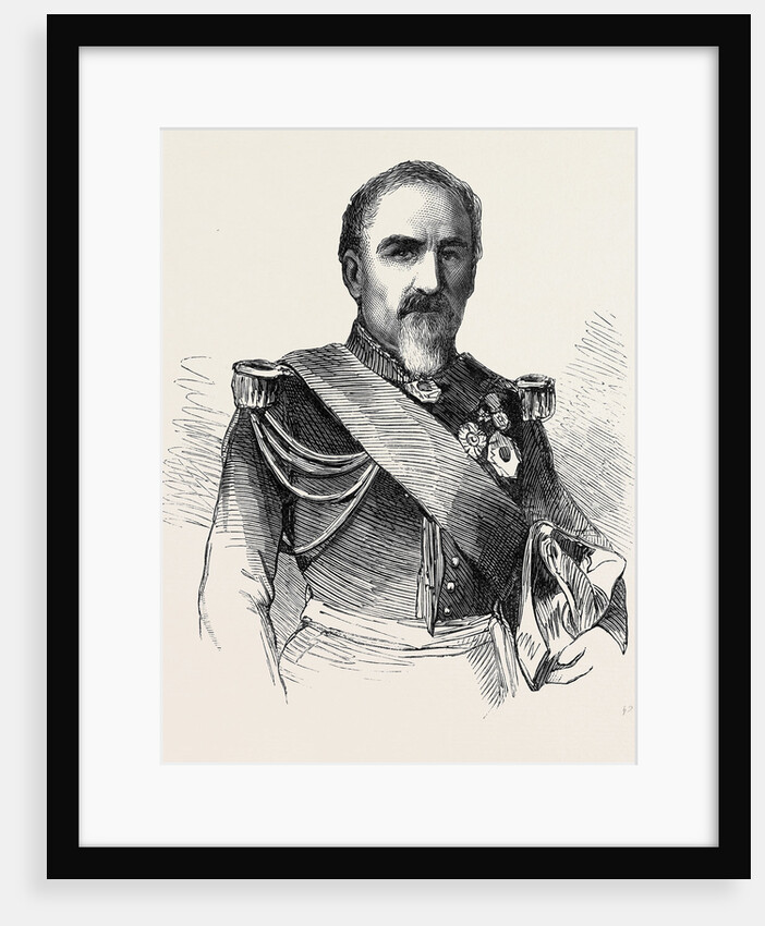 General Camou Commander of the 2nd Division of the Imperial Guard by Anonymous