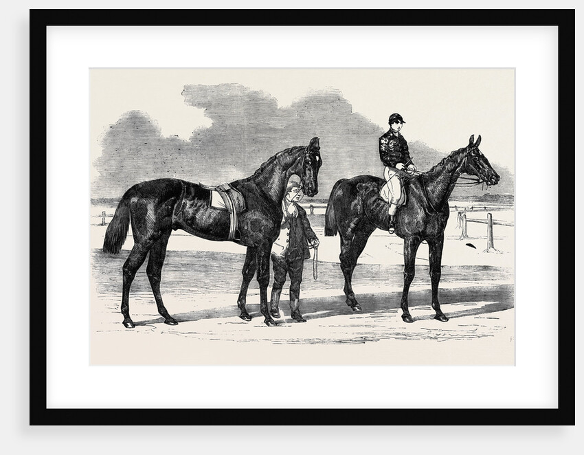 The Winners of the Derby and the Oaks, Musjid the Winner of the Derby Summerside the Winner of the Oaks by Anonymous